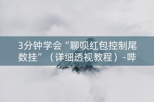 3分钟学会“聊呗红包控制尾数挂”（详细透视教程）-哔哩哔哩