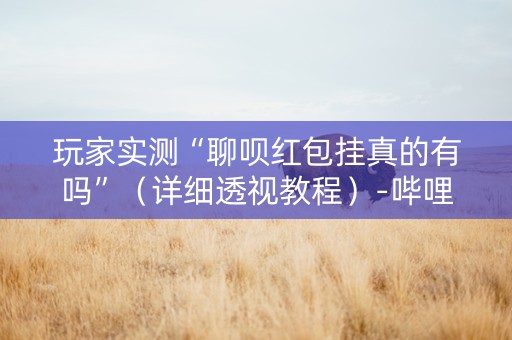 玩家实测“聊呗红包挂真的有吗”（详细透视教程）-哔哩哔哩
