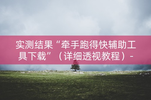 实测结果“牵手跑得快辅助工具下载”（详细透视教程）-哔哩哔哩