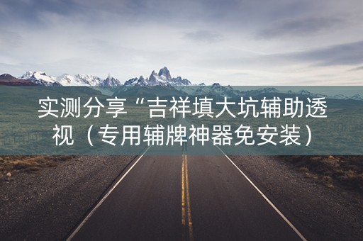 实测分享“吉祥填大坑辅助透视（专用辅牌神器免安装）