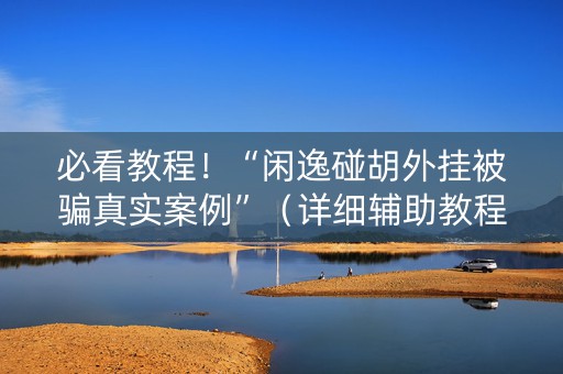 必看教程！“闲逸碰胡外挂被骗真实案例”（详细辅助教程）-哔哩哔哩