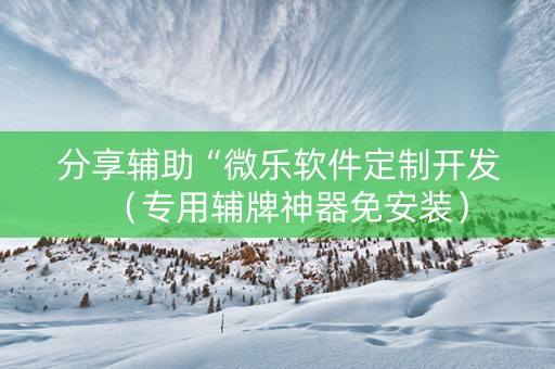 分享辅助“微乐软件定制开发（专用辅牌神器免安装）