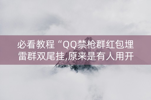 必看教程“QQ禁枪群红包埋雷群双尾挂,原来是有人用开挂”（详细透视教程）-哔哩哔哩