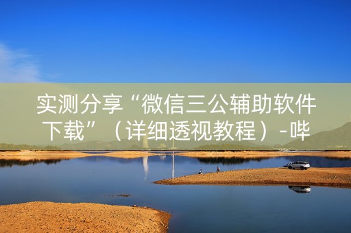 实测分享“微信三公辅助软件下载”（详细透视教程）-哔哩哔哩