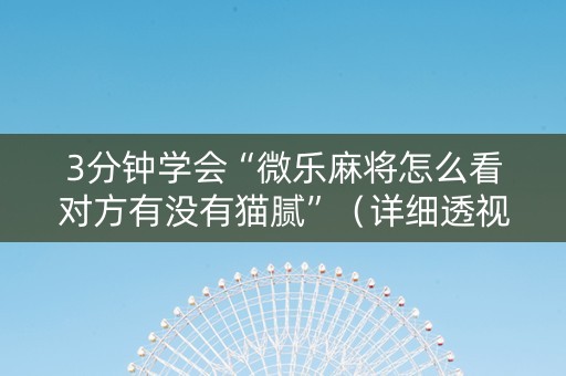 3分钟学会“微乐麻将怎么看对方有没有猫腻”（详细透视教程）-哔哩哔哩