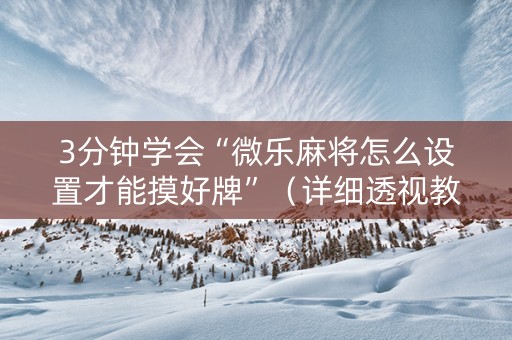 3分钟学会“微乐麻将怎么设置才能摸好牌”（详细透视教程）-哔哩哔哩