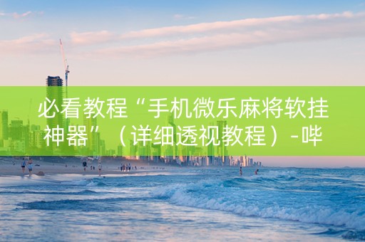 必看教程“手机微乐麻将软挂神器”（详细透视教程）-哔哩哔哩