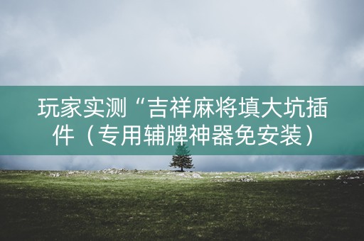 玩家实测“吉祥麻将填大坑插件（专用辅牌神器免安装）