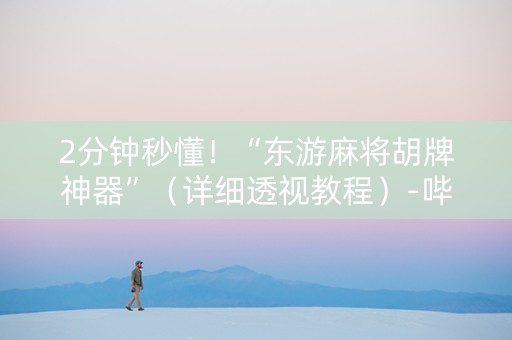 2分钟秒懂！“东游麻将胡牌神器”（详细透视教程）-哔哩哔哩