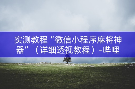 实测教程“微信小程序麻将神器”（详细透视教程）-哔哩哔哩