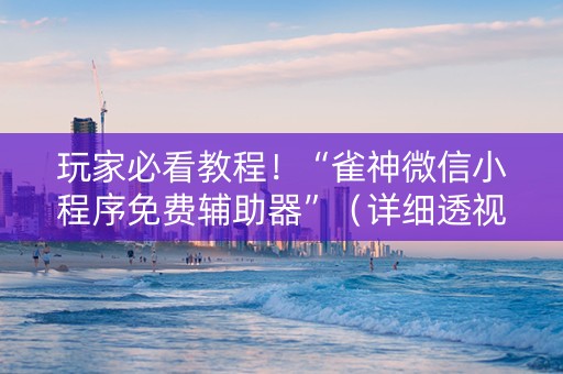 玩家必看教程！“雀神微信小程序免费辅助器”（详细透视教程）-哔哩哔哩