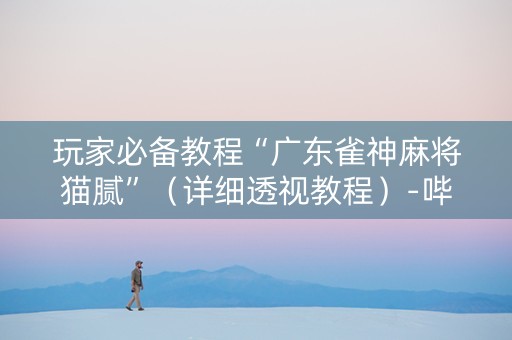 玩家必备教程“广东雀神麻将猫腻”（详细透视教程）-哔哩哔哩