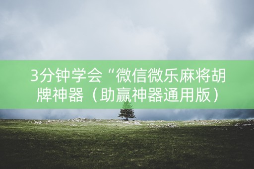 3分钟学会“微信微乐麻将胡牌神器（助赢神器通用版）