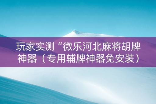 玩家实测“微乐河北麻将胡牌神器（专用辅牌神器免安装）
