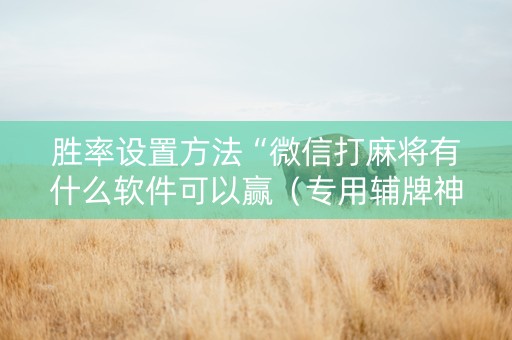 胜率设置方法“微信打麻将有什么软件可以赢（专用辅牌神器免安装）