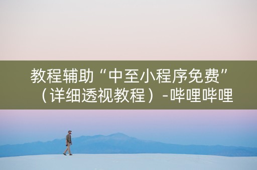 教程辅助“中至小程序免费”（详细透视教程）-哔哩哔哩