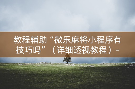 教程辅助“微乐麻将小程序有技巧吗”（详细透视教程）-哔哩哔哩