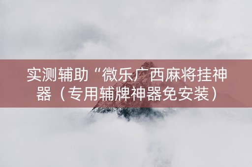 实测辅助“微乐广西麻将挂神器（专用辅牌神器免安装）