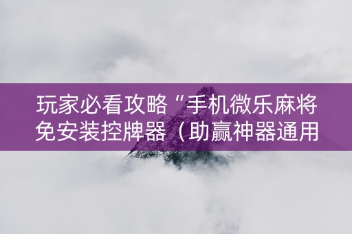 玩家必看攻略“手机微乐麻将免安装控牌器（助赢神器通用版）