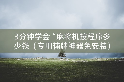 3分钟学会“麻将机按程序多少钱（专用辅牌神器免安装）