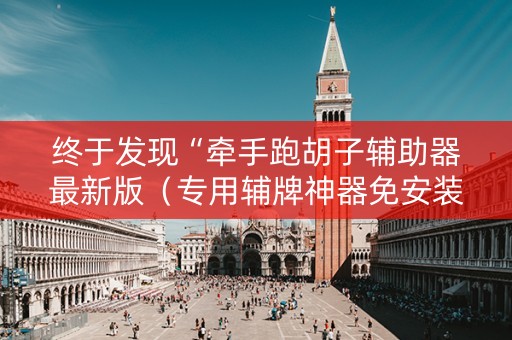 终于发现“牵手跑胡子辅助器最新版（专用辅牌神器免安装）