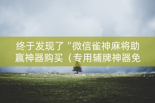 终于发现了“微信雀神麻将助赢神器购买（专用辅牌神器免安装）