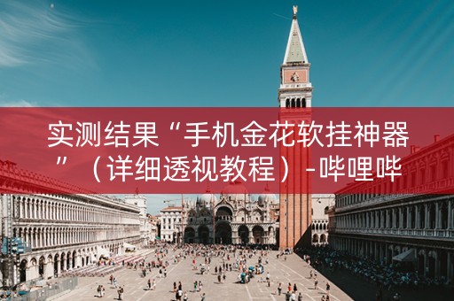 实测结果“手机金花软挂神器”（详细透视教程）-哔哩哔哩