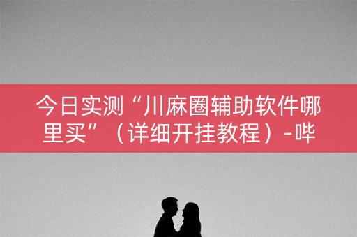 今日实测“川麻圈辅助软件哪里买”（详细开挂教程）-哔哩哔哩