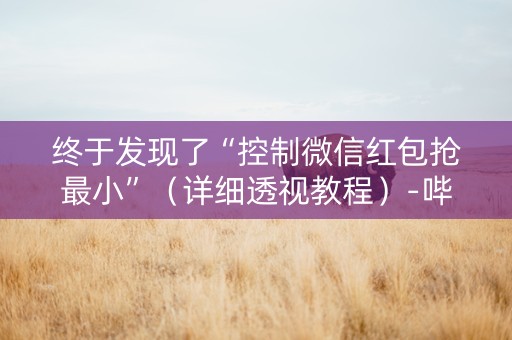 终于发现了“控制微信红包抢最小”（详细透视教程）-哔哩哔哩