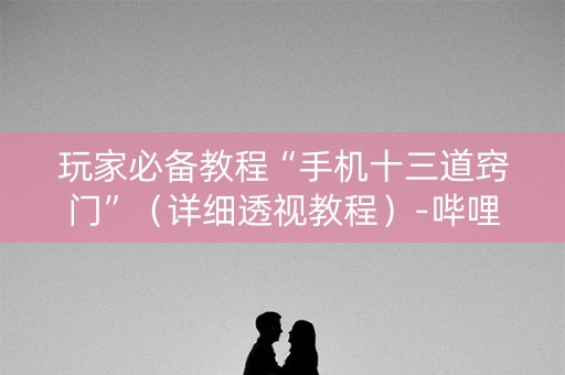 玩家必备教程“手机十三道窍门”（详细透视教程）-哔哩哔哩