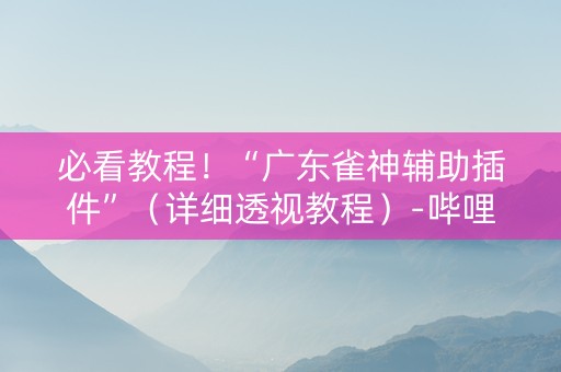 必看教程！“广东雀神辅助插件”（详细透视教程）-哔哩哔哩