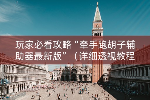 玩家必看攻略“牵手跑胡子辅助器最新版”（详细透视教程）-哔哩哔哩