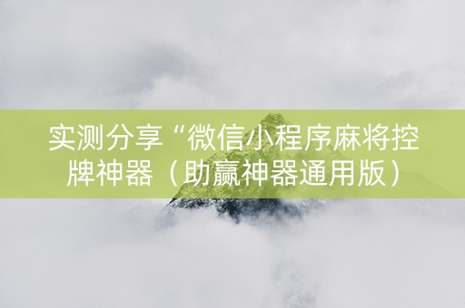 实测分享“微信小程序麻将控牌神器（助赢神器通用版）