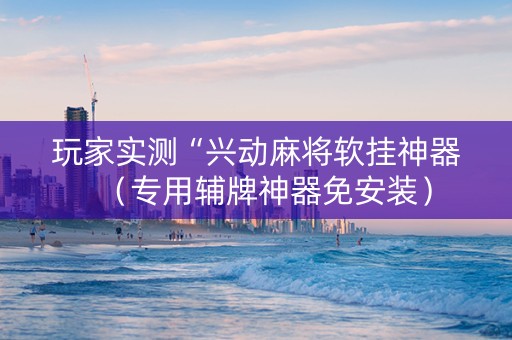 玩家实测“兴动麻将软挂神器（专用辅牌神器免安装）