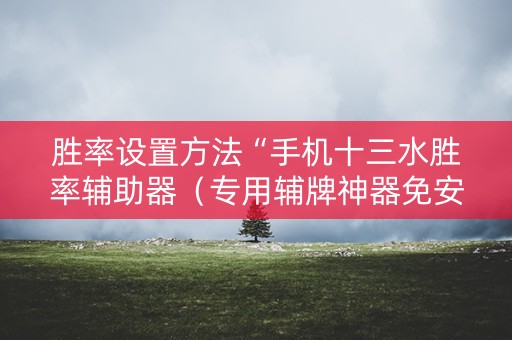 胜率设置方法“手机十三水胜率辅助器（专用辅牌神器免安装）
