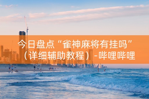 今日盘点“雀神麻将有挂吗”（详细辅助教程）-哔哩哔哩