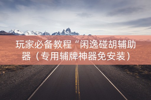 玩家必备教程“闲逸碰胡辅助器（专用辅牌神器免安装）