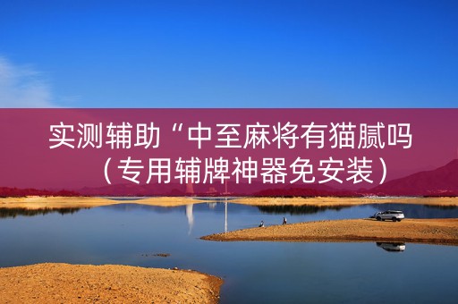 实测辅助“中至麻将有猫腻吗（专用辅牌神器免安装）