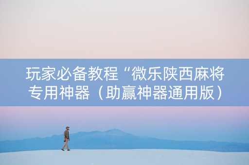 玩家必备教程“微乐陕西麻将专用神器（助赢神器通用版）