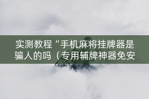 实测教程“手机麻将挂牌器是骗人的吗（专用辅牌神器免安装）