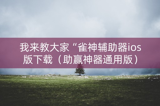 我来教大家“雀神辅助器ios版下载（助赢神器通用版）