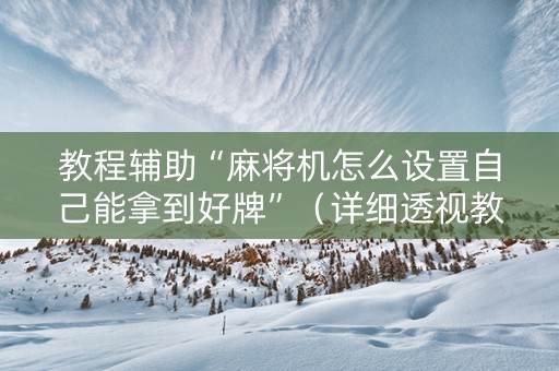 教程辅助“麻将机怎么设置自己能拿到好牌”（详细透视教程）-哔哩哔哩