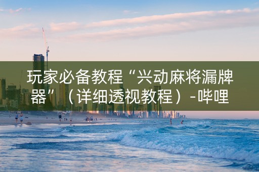 玩家必备教程“兴动麻将漏牌器”（详细透视教程）-哔哩哔哩