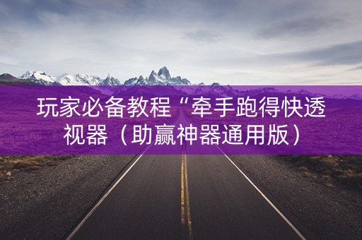 玩家必备教程“牵手跑得快透视器（助赢神器通用版）
