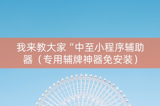我来教大家“中至小程序辅助器（专用辅牌神器免安装）