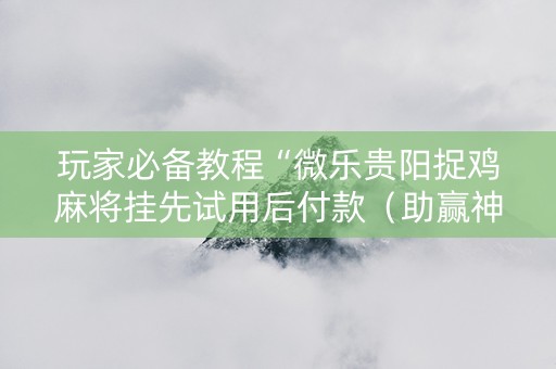 玩家必备教程“微乐贵阳捉鸡麻将挂先试用后付款（助赢神器通用版）
