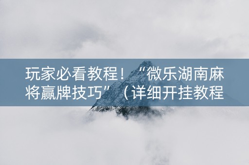 玩家必看教程！“微乐湖南麻将赢牌技巧”（详细开挂教程）-哔哩哔哩