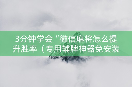 3分钟学会“微信麻将怎么提升胜率（专用辅牌神器免安装）