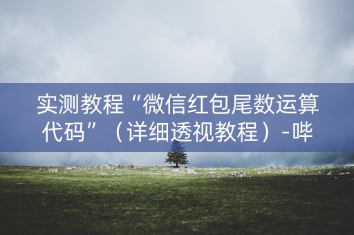 实测教程“微信红包尾数运算代码”（详细透视教程）-哔哩哔哩