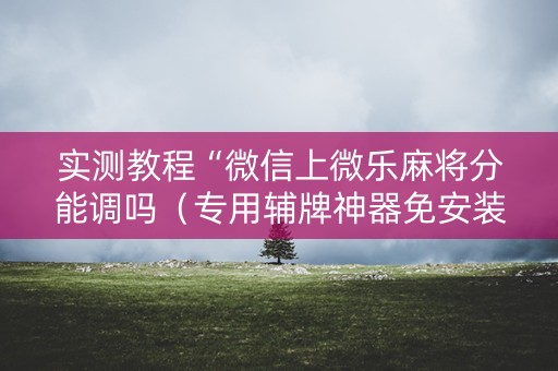 实测教程“微信上微乐麻将分能调吗（专用辅牌神器免安装）